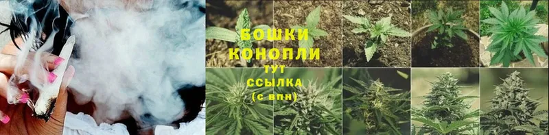 МАРИХУАНА THC 21%  маркетплейс как зайти  Лебедянь 